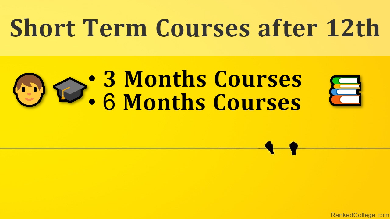 3 to 6 months courses